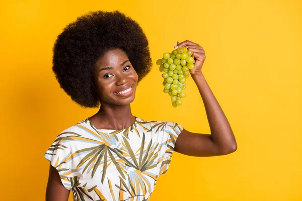 Porträtt av söta optimistiska lockigt hår dam hålla druvor klänning ljusa t-shirt isolerad på gul bakgrund — Stockfoto