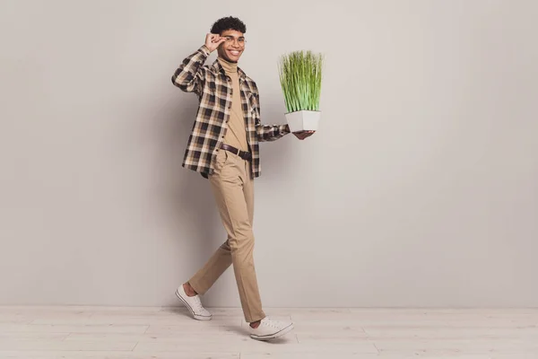 Longitud completa tamaño del cuerpo foto del hombre sosteniendo planta de casa verde con traje casual aislado fondo de color gris —  Fotos de Stock