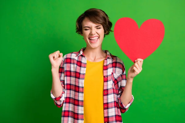 Retrato de pessoa surpreendida punho para cima braço segurar forma de coração olhos fechados xadrez roupa isolada no fundo de cor verde — Fotografia de Stock