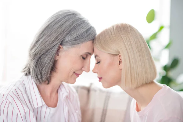 Photo of calm peaceful old woman and young lady touch foreheads family care trust indoors inside house home — Stock Photo, Image