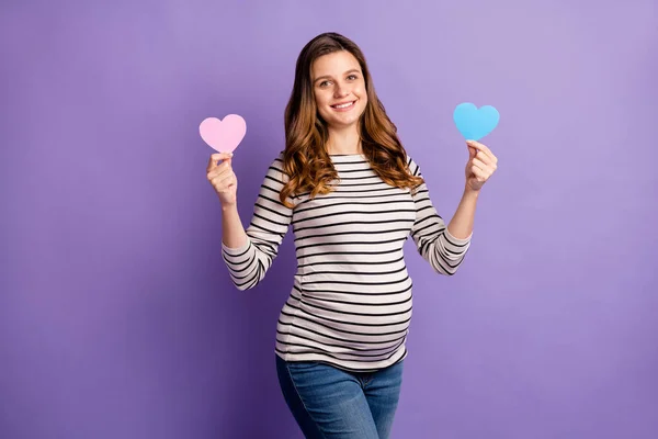 Fotografie rozkošná dáma čeká dítě oblečené pruhované tričko bříško drží růžové modré srdce hádat chlapec dívka izolované fialové barvy pozadí — Stock fotografie