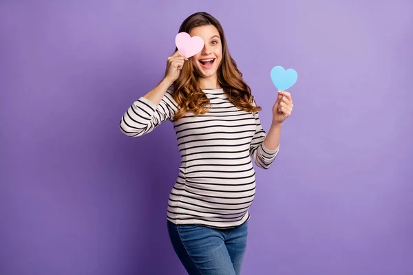 Fotografie hezké ženy očekávají dítě nosit pruhované tričko břicho drží dvě srdce hádat chlapec dívka izolované fialové barvy pozadí — Stock fotografie