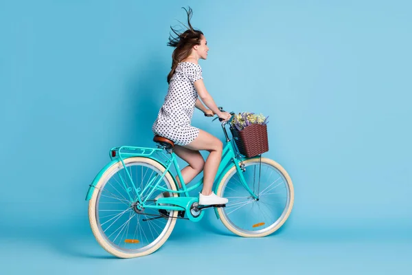 In voller Länge Profilfoto von Mädchen Fahrt Fahrradkorb Wildblumen tragen gepunktete Minikleid Schuhe isoliert blaue Farbe Hintergrund — Stockfoto