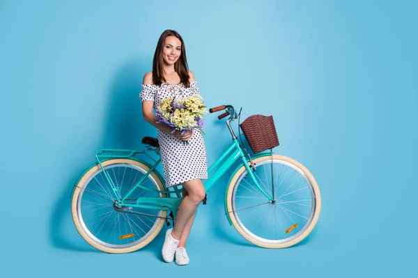 Foto de comprimento total de menina segurar buquê flores silvestres olhar câmera bicicleta desgaste pontilhado vestido curto tênis isolado azul cor fundo — Fotografia de Stock