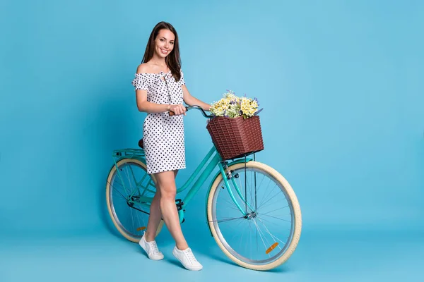 Foto de comprimento total da senhora bicicleta flowerpot olhar câmera desgaste pontilhado vestido curto calçado isolado azul cor fundo — Fotografia de Stock