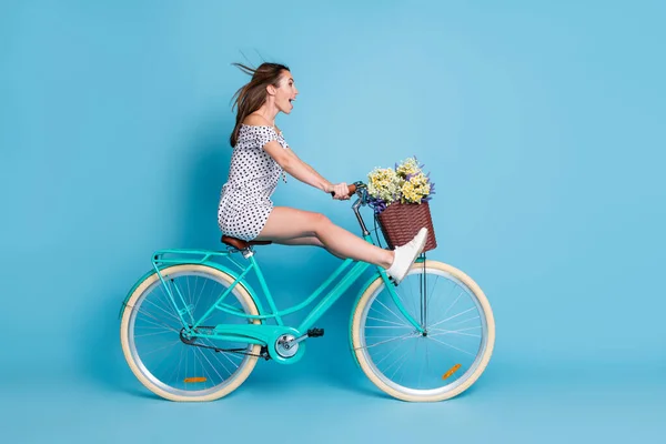 In voller Länge Profilfoto von verrückten Mädchen fahren Fahrrad heben Beine tragen gepunktete kurze Kleid Schuhe isoliert blaue Farbe Hintergrund — Stockfoto