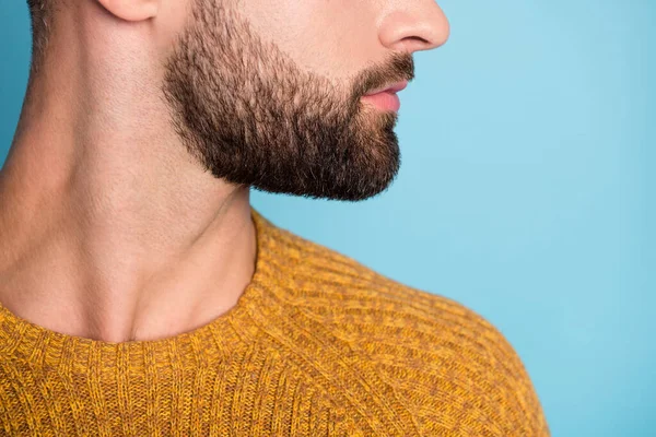 Cropped photo of young handsome masculine man with shaved beard wear knitted pullover isolated on blue color background — Stock Photo, Image