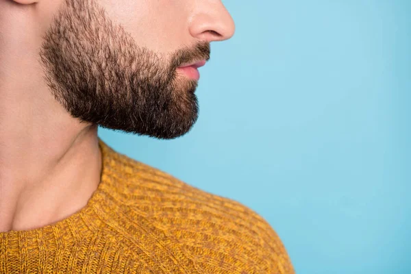 Perfil recortado sife foto de jovens sérios bonitos homens atraentes com barba isolada no fundo de cor azul — Fotografia de Stock