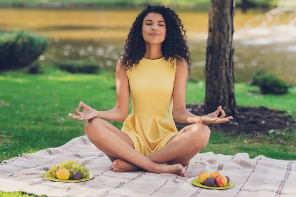 Portrét atraktivní snové veselá dívka sedí na kostkované meditační zábava tráví volný čas v parku venku — Stock fotografie