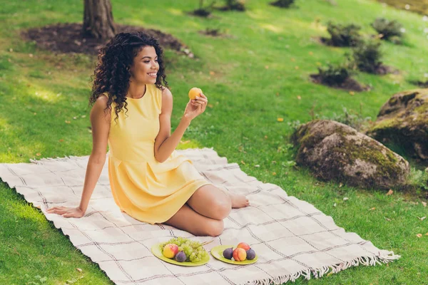 Фото очаровательной прекрасной мечтательной леди держать абрикос сидеть клетчатой носить желтое платье в парке на открытом воздухе — стоковое фото