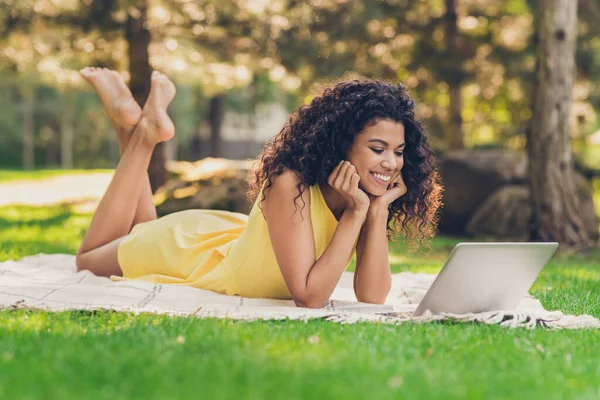 Portret atrakcyjnej, wesołej, skupionej dziewczyny leżącej na trawie w kratkę przy użyciu laptopa oglądającej film w parku na świeżym powietrzu — Zdjęcie stockowe