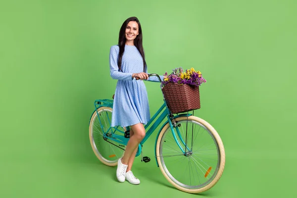 Foto de perfil de comprimento total de senhora de cabelo marrom doce com vestido de desgaste de bicicleta isolado no fundo verde — Fotografia de Stock