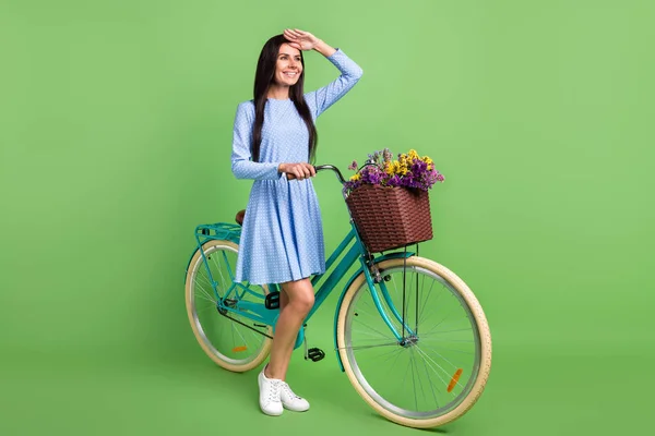 Pełna długość profil zdjęcie cute wesoły brązowe włosy pani z rower wygląd sukienka nosić izolowane na zielonym tle — Zdjęcie stockowe