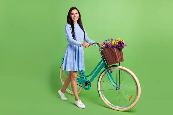 Foto de perfil em tamanho completo de cabelo marrom alegre senhora segurar vestido de desgaste de bicicleta isolado no fundo verde — Fotografia de Stock