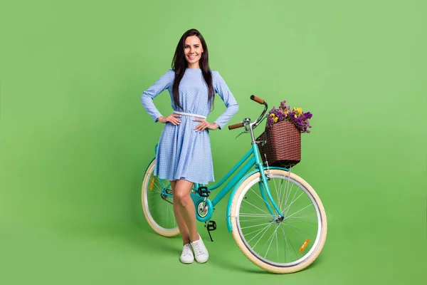 Pełne zdjęcie ciała cute trend brązowe włosy pani w pobliżu sukienka na zużycie rowerów izolowane na zielonym tle — Zdjęcie stockowe