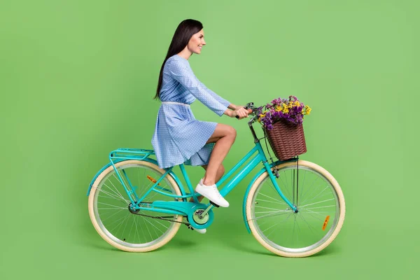 Foto de perfil de corpo inteiro de cabelo castanho alegre senhora passeio de bicicleta vestido desgaste isolado no fundo verde — Fotografia de Stock