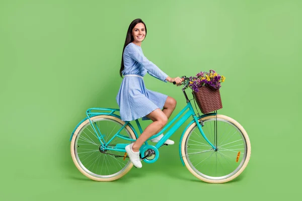 긍정적 인 갈색 머리 여자 자전거타는 여자의 전체 프로필 사진 녹색 배경에 고립된 드레스를 입고 — 스톡 사진