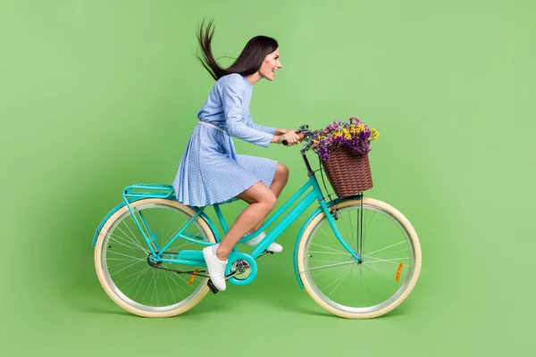 Foto von süßen eiligen junge Frau gekleidet blaues Outfit fahren Fahrrad suchen leeren Raum isoliert grüne Farbe Hintergrund — Stockfoto