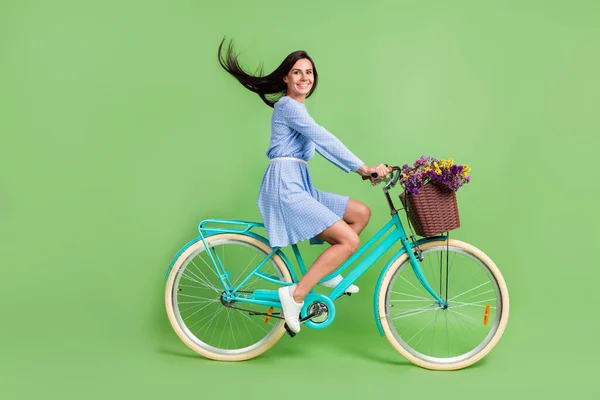 Foto de menina muito engraçada usar roupas pontilhadas sorrindo dirigindo bicicleta isolado fundo cor verde — Fotografia de Stock