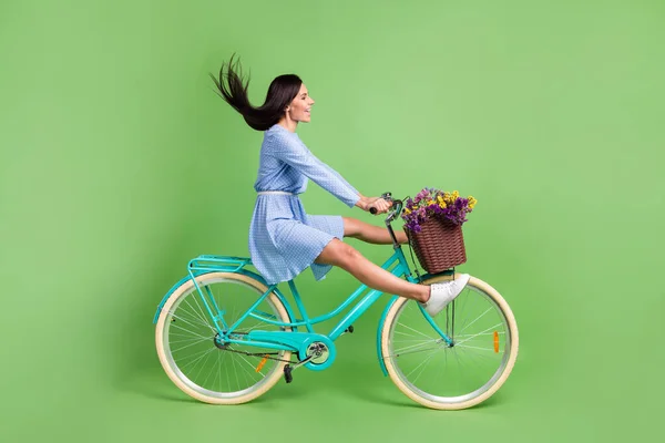 Foto de apressando funky jovem mulher vestida azul roupa bicicleta de condução olhando espaço vazio isolado cor verde fundo — Fotografia de Stock