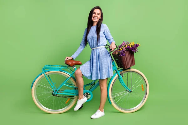 Foto de engraçado adorável jovem senhora usar roupas pontilhadas sorrindo segurando bicicleta isolado cor verde fundo — Fotografia de Stock