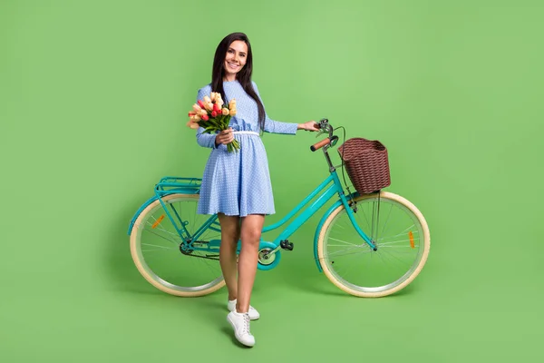 Foto de adorable dulce joven dama usar ropa punteada sonriendo sosteniendo bicicleta flores frescas aisladas color verde fondo — Foto de Stock
