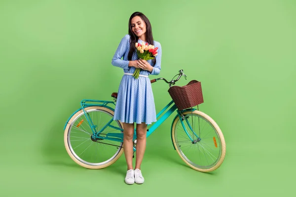 Foto de doce sonhador jovem senhora desgaste pontilhado roupas sorrindo segurando bicicleta flores frescas isolado cor verde fundo — Fotografia de Stock