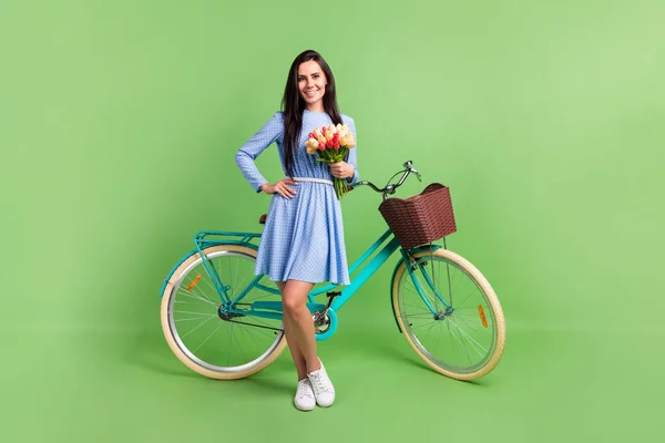 Foto de encantador confiante jovem mulher vestida azul roupa segurando buquê de bicicleta sorrindo isolado fundo cor verde — Fotografia de Stock