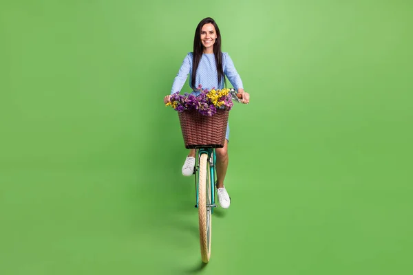 Foto de engraçado doce jovem vestido azul roupa condução bicicleta sorrindo isolado cor verde fundo — Fotografia de Stock