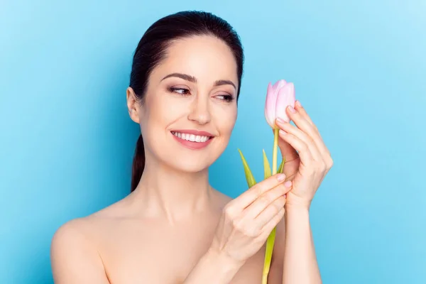 Foto von attraktiven Frau glücklich positives Lächeln Blick Tulpen Blume Wellness-Therapie isoliert über blauen Farbhintergrund — Stockfoto