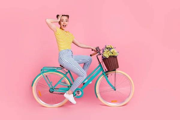 Foto de perfil em tamanho completo de impressionado agradável morena senhora passeio de bicicleta desgaste t-shirt calças isoladas no fundo rosa — Fotografia de Stock