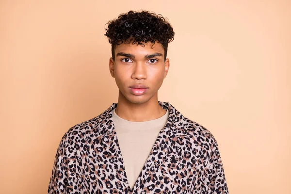 Retrato de peinado rizado joven de piel oscura look persona cámara desgaste traje de leopardo aislado sobre fondo de color beige — Foto de Stock