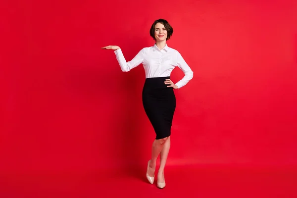 Full length body size photo business woman showing small size isolated vivid red color background — Stockfoto