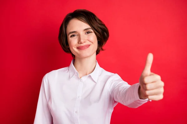 Photo portrait of happy business woman showing like sign smiling in formal wear isolated vibrant red color background — Zdjęcie stockowe