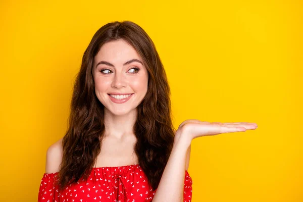 Foto retrato de menina agradável na camisa vermelha curioso manter espaço em branco na palma isolado vibrante cor amarela fundo — Fotografia de Stock