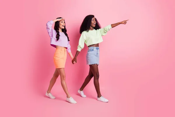 Full storlek profil sida foto av två brunett kvinnor punkt ser tomt utrymme hålla händerna isolerade på rosa färg bakgrund — Stockfoto