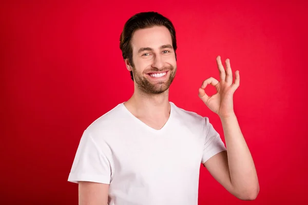Photo de jeune homme excité coiffure brune montrer okey signe usure blanc t-shirt isolé sur fond de couleur rouge vif — Photo