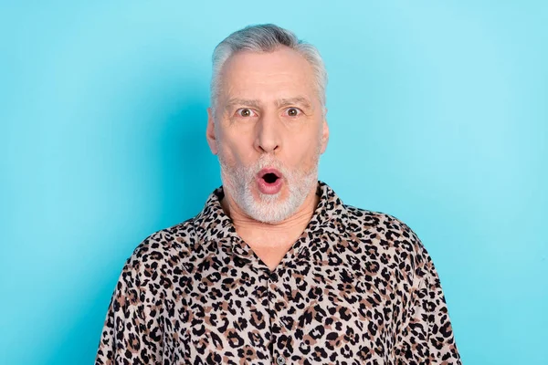 Foto de impressionado penteado cinza homem mais velho usar camisa de leopardo isolado no fundo de cor azul brilhante — Fotografia de Stock