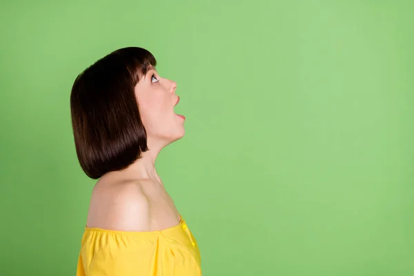 Perfil foto lateral de chocado jovem mulher positiva olhar para cima vazio espaço informações isoladas no fundo cor verde — Fotografia de Stock