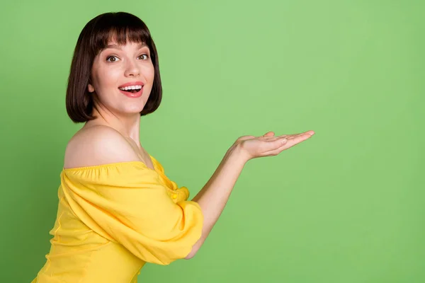 Profil strona zdjęcie atrakcyjne szczęśliwy młoda kobieta trzymać za ręce puste miejsca sprzedaży izolowane na zielonym tle kolor — Zdjęcie stockowe