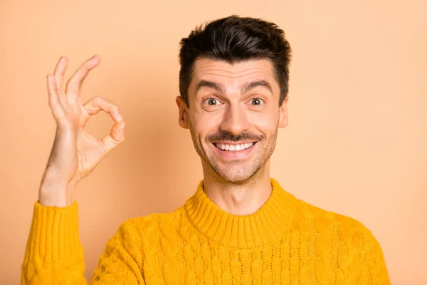 Fotoporträt von glücklichen Kerl zeigt ok-Zeichen isoliert auf pastellbeige farbigem Hintergrund — Stockfoto