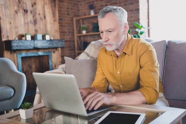 Foto van gerichte geconcentreerde oudere persoon zitten op de bank look gebruik laptop schrijven vanuit huis binnen — Stockfoto