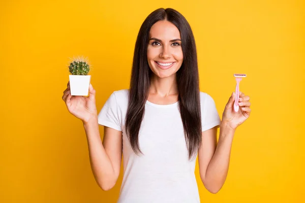 Photo de heureux attrayant gai jeune femme tenir cactus rasoir isolé sur fond de couleur jaune — Photo