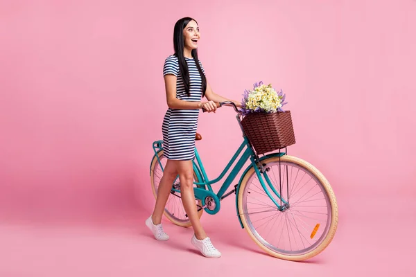 Ganzkörpergröße Profil Seitenansicht der schönen erstaunt fröhliche Mädchen zu Fuß Fahrrad Spaß isoliert auf rosa Pastellfarbe Hintergrund — Stockfoto