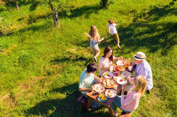 Yüksek açılı, geniş aile hafta sonları piknik yapıyor çocuklar çimenlerde koşuşturuyor. — Stok fotoğraf