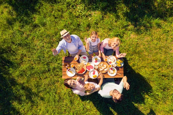 Vysoko nad úhel pohledu rodina s piknik venku veselý mávání rukama slunečný letní den — Stock fotografie