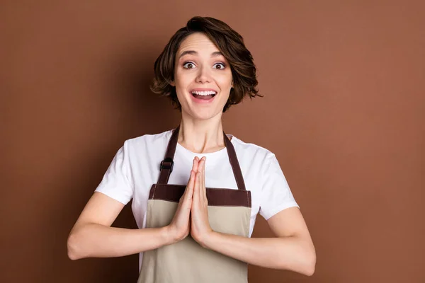 Ritratto di attraente felice allegro venditore negozio ragazza chiedendo favore buon umore isolato su sfondo di colore marrone — Foto Stock