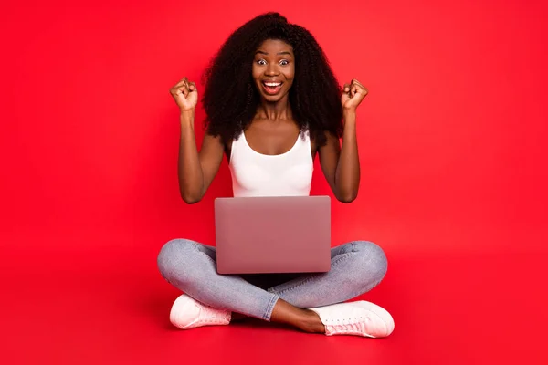 Foto panjang penuh gadis muda afro menarik tersenyum positif menggunakan kemenangan laptop sukacita terisolasi atas latar belakang warna merah — Stok Foto