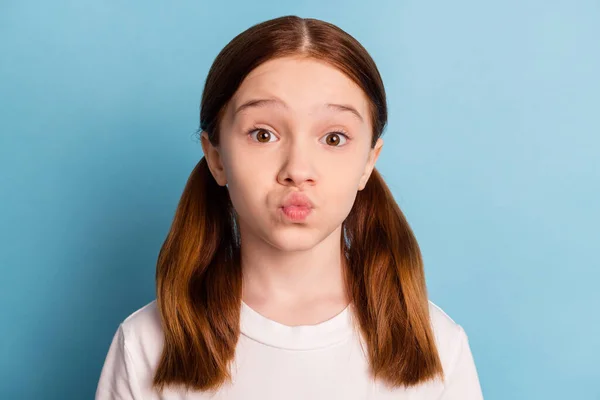 Retrato de colas peinado adorable pupila beso labios mirada cámara aislada en pastel azul color fondo —  Fotos de Stock