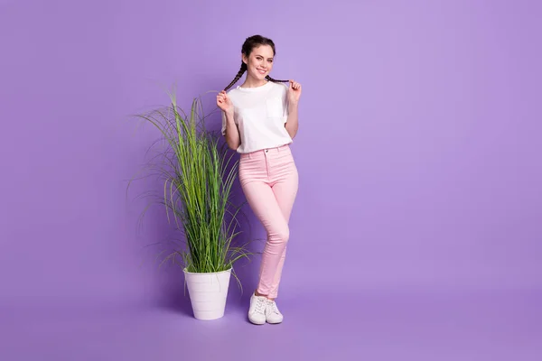 Full längd foto av ung flicka glad positiv leende hem blomma växt isolerad över violett färg bakgrund — Stockfoto